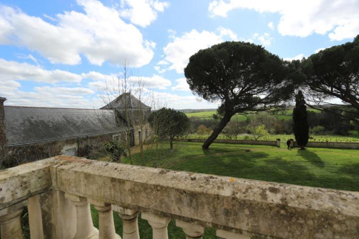 Bed and Breakfast Vignoble Chateau Piegue - Winery Rochefort-sur-Loire Exteriér fotografie